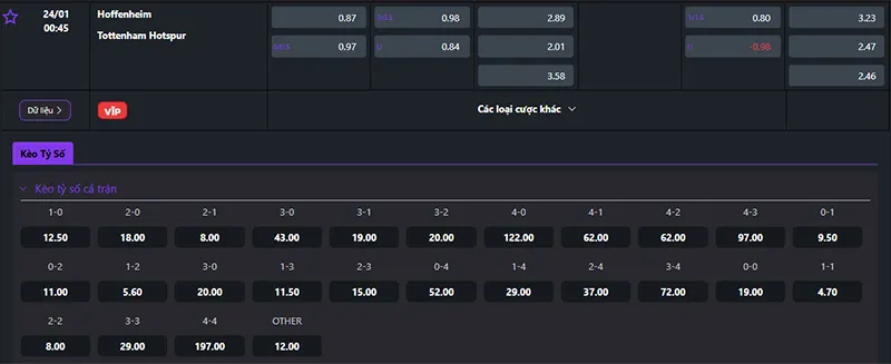 Thông tin tỷ lệ kèo Hoffenheim vs Tottenham 00h45 ngày 24/01/2025