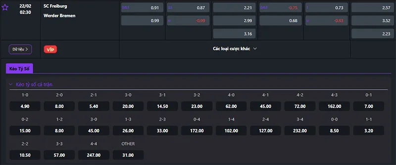 Thông tin tỷ lệ kèo Freiburg vs Werder Bremen 02h30 ngày 22/02/2025